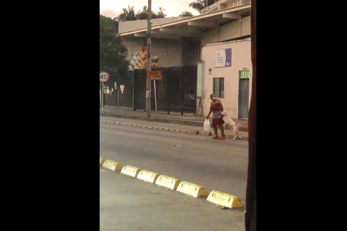 VIDEO TIKTOK: Mujer cruza la calle de la "mano" de su perrito