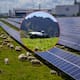 Volkswagen cambió los cortacéspedes por 100 ovejas para pastar debajo y alrededor de más de 31 mil paneles fotovoltaicos con el fin de comprobar que una instalación industrial de energía solar puede compartir espacio con actividades agrícolas y ganaderas