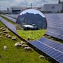 Volkswagen cambió los cortacéspedes por 100 ovejas para pastar debajo y alrededor de más de 31 mil paneles fotovoltaicos con el fin de comprobar que una instalación industrial de energía solar puede compartir espacio con actividades agrícolas y ganaderas