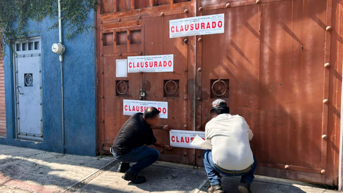 Profepa clausura predio con residuos tóxicos y detiene obras ilegales en Áreas Naturales Protegidas de Morelos, tras denuncias ciudadanas y hallazgos alarmantes