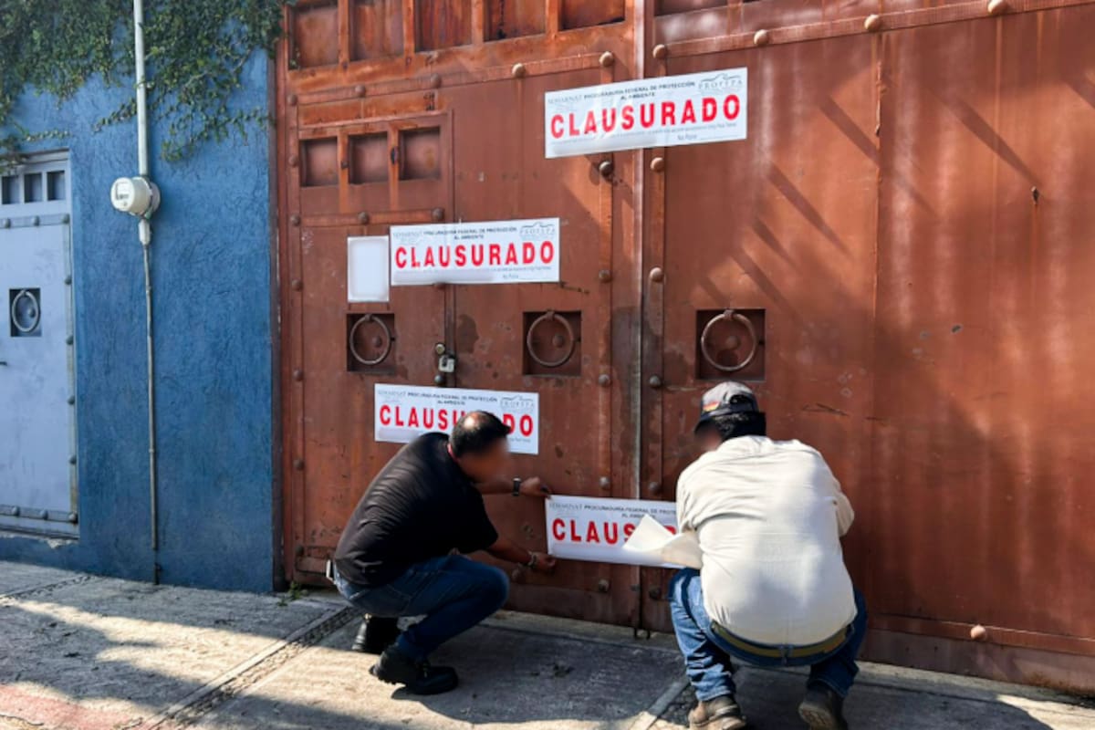 Profepa clausura predio con residuos tóxicos y detiene obras ilegales en Áreas Naturales Protegidas de Morelos, tras denuncias ciudadanas y hallazgos alarmantes