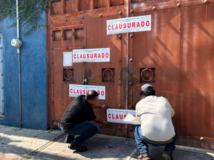Profepa clausura predio con residuos tóxicos y detiene obras ilegales en Áreas Naturales Protegidas de Morelos, tras denuncias ciudadanas y hallazgos alarmantes