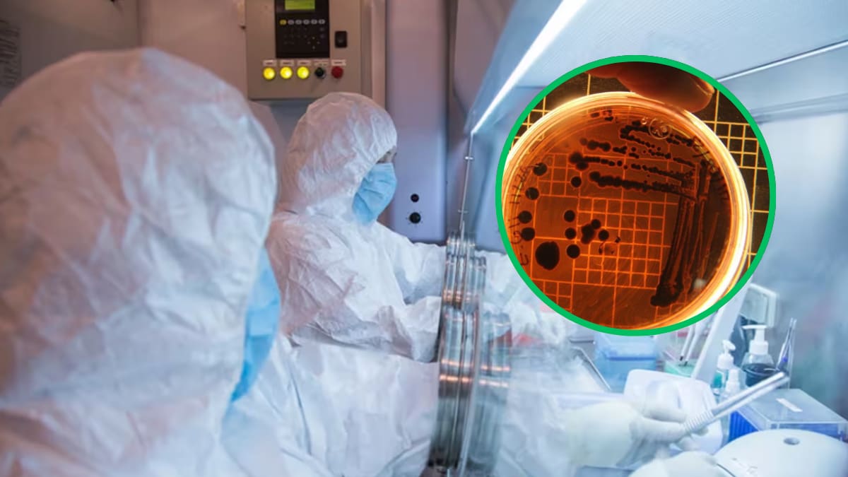OMS pide explicaciones a Rusia por peste neumónica, la muerte de una investigadora y la cuarentena de casi 200