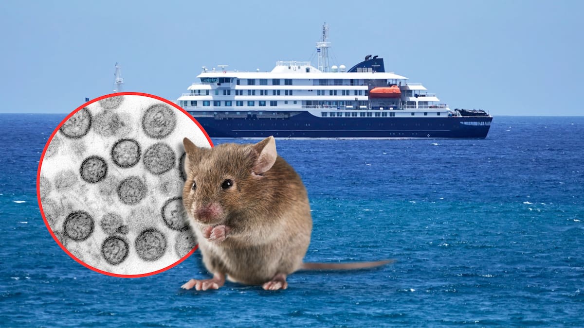 España recibirá en Canarias al crucero con sospecha de hantavirus tras 3 muertes a bordo; la OMS descartó a Cabo Verde por falta de capacidad médica para gestionar el brote