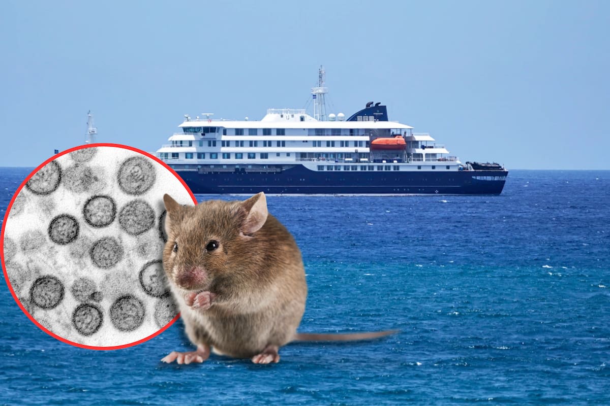 España recibirá en Canarias al crucero con sospecha de hantavirus tras 3 muertes a bordo; la OMS descartó a Cabo Verde por falta de capacidad médica para gestionar el brote