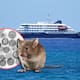 España recibirá en Canarias al crucero con sospecha de hantavirus tras 3 muertes a bordo; la OMS descartó a Cabo Verde por falta de capacidad médica para gestionar el brote