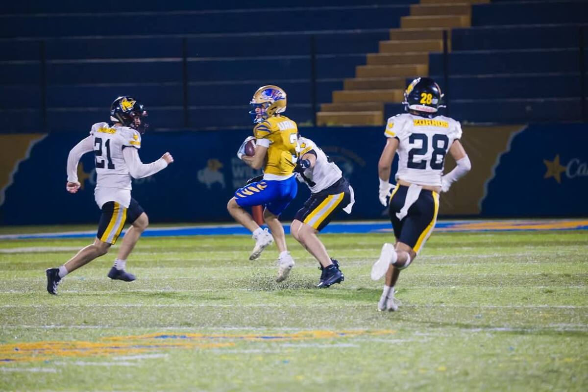 Zorros da batalla pero pierde con UANL