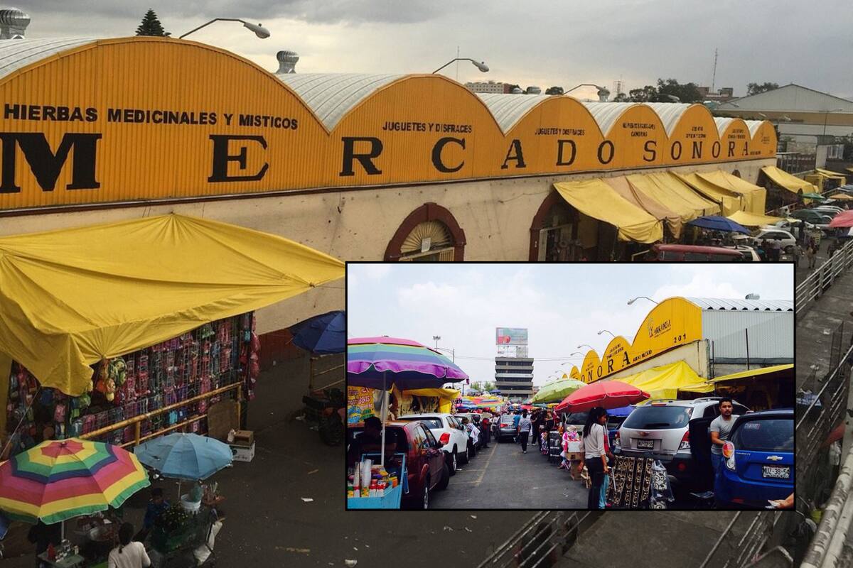Denuncian venta y maltrato animal en Mercado Sonora