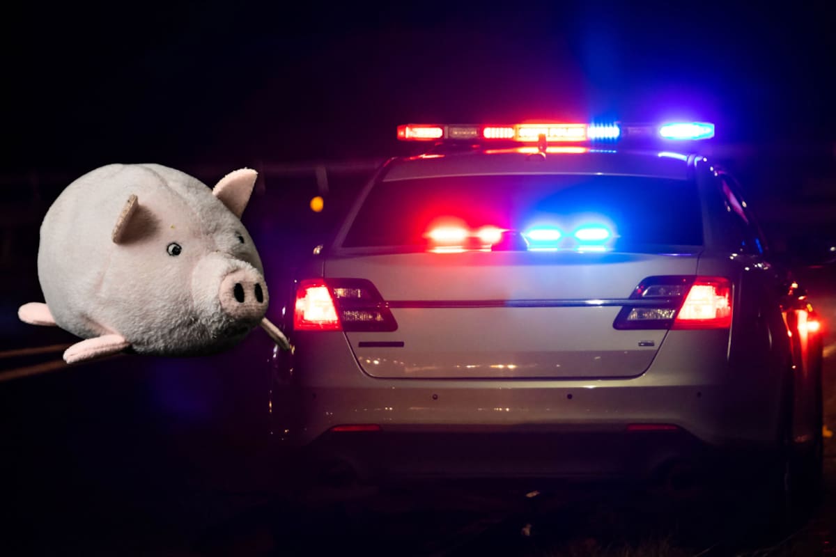 Cerditos de peluche en escenas del crimen en Culiacán: qué se sabe del símbolo que se repite en ataques armados en Sinaloa