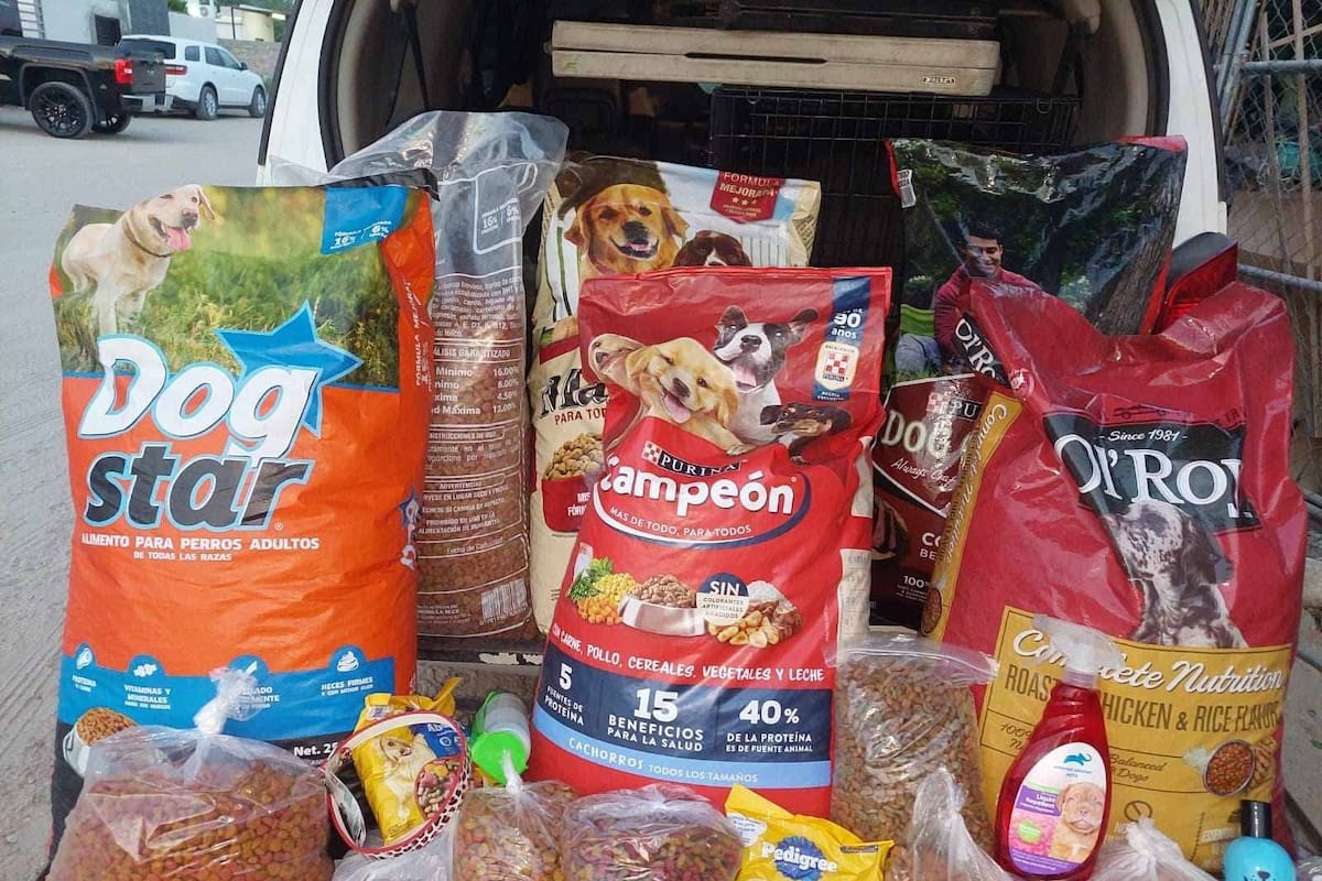 Organizan Croquetón para apoyar a perros callejeros de SLRC
