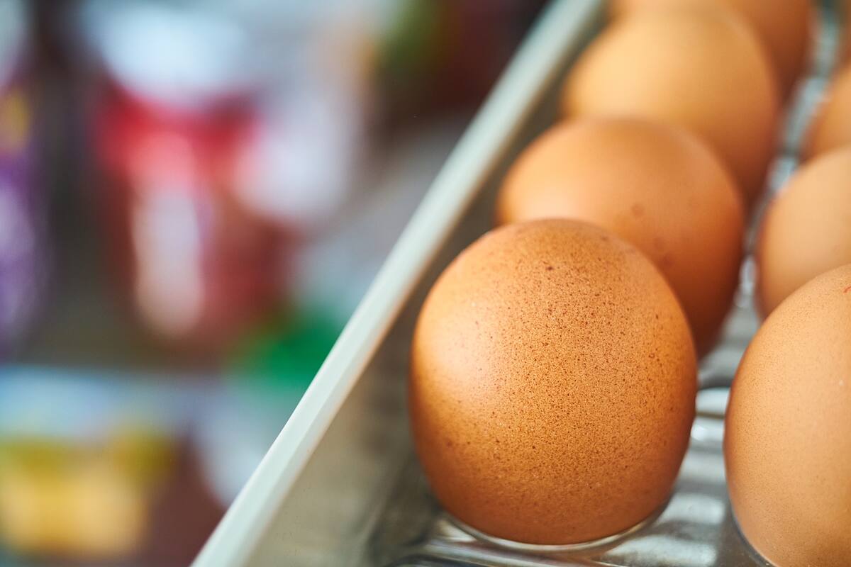 Alimentos a tomar en cuenta para consumir con más frecuencia durante la cuarentena