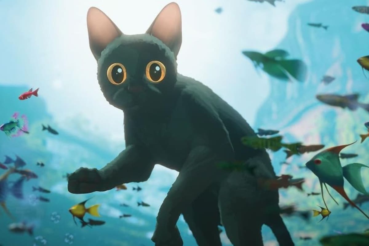 ‘Flow’: la película que Guillermo del Toro considera el futuro de la animación