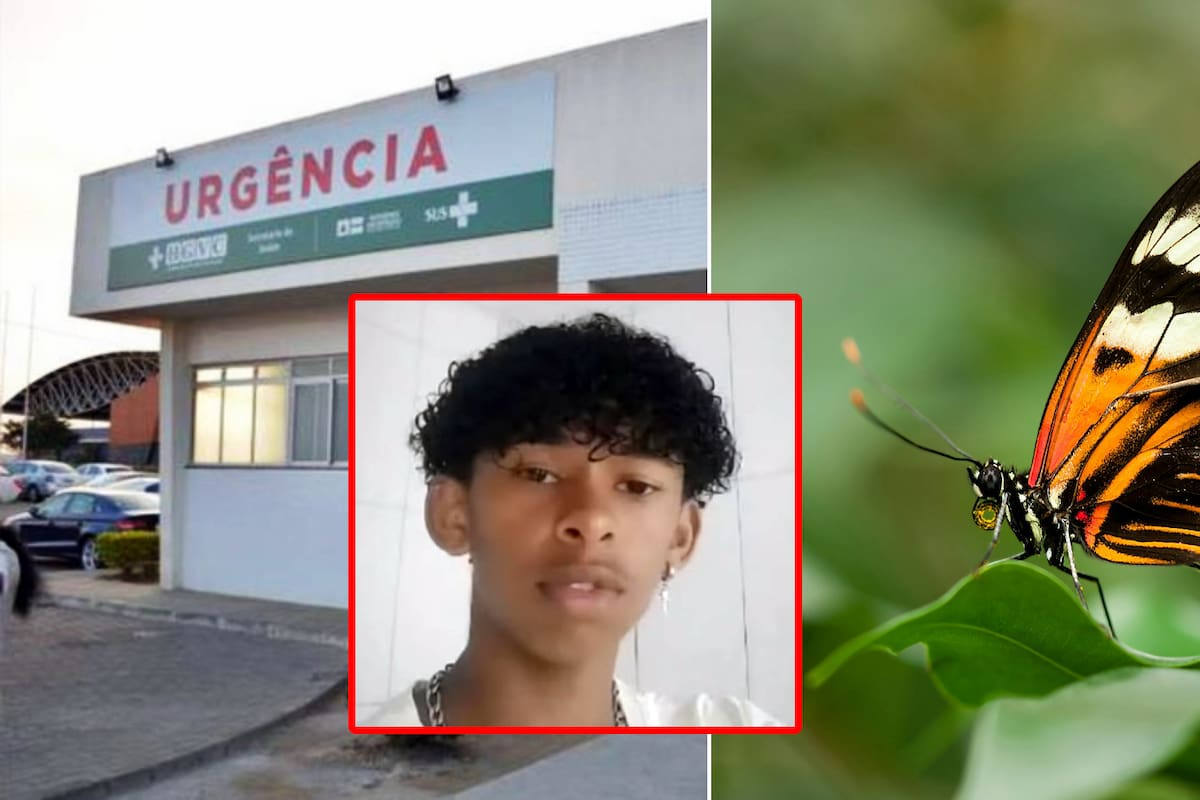 Adolescente brasileño murió tras inyectarse restos de mariposa en la pierna; estaba haciendo un reto de redes sociales