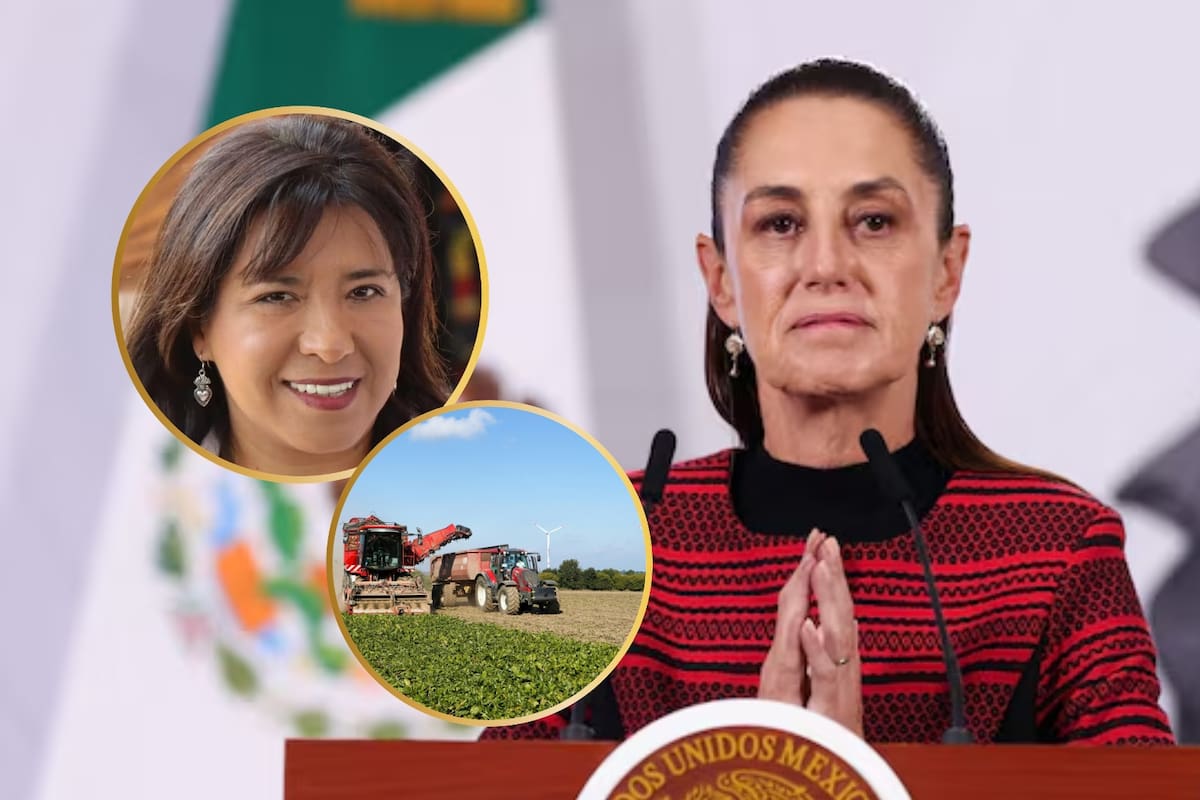 Claudia Sheinbaum nombró a Columba López como secretaria de Agricultura tras relevar a Julio Berdegué quien asumirá la defensa del campo mexicano en la revisión del T MEC en un momento clave para la política agroalimentaria nacional