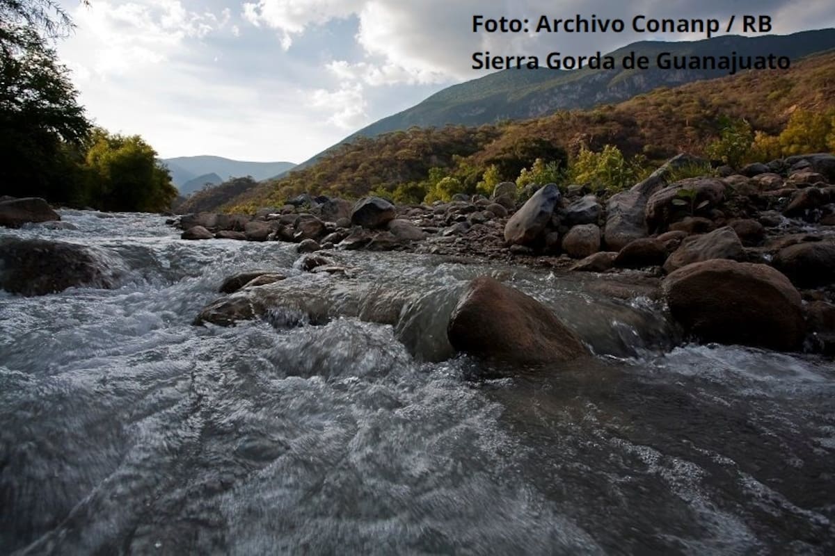 Sierra Gorda de Guanajuato. | Crédito: Conanp