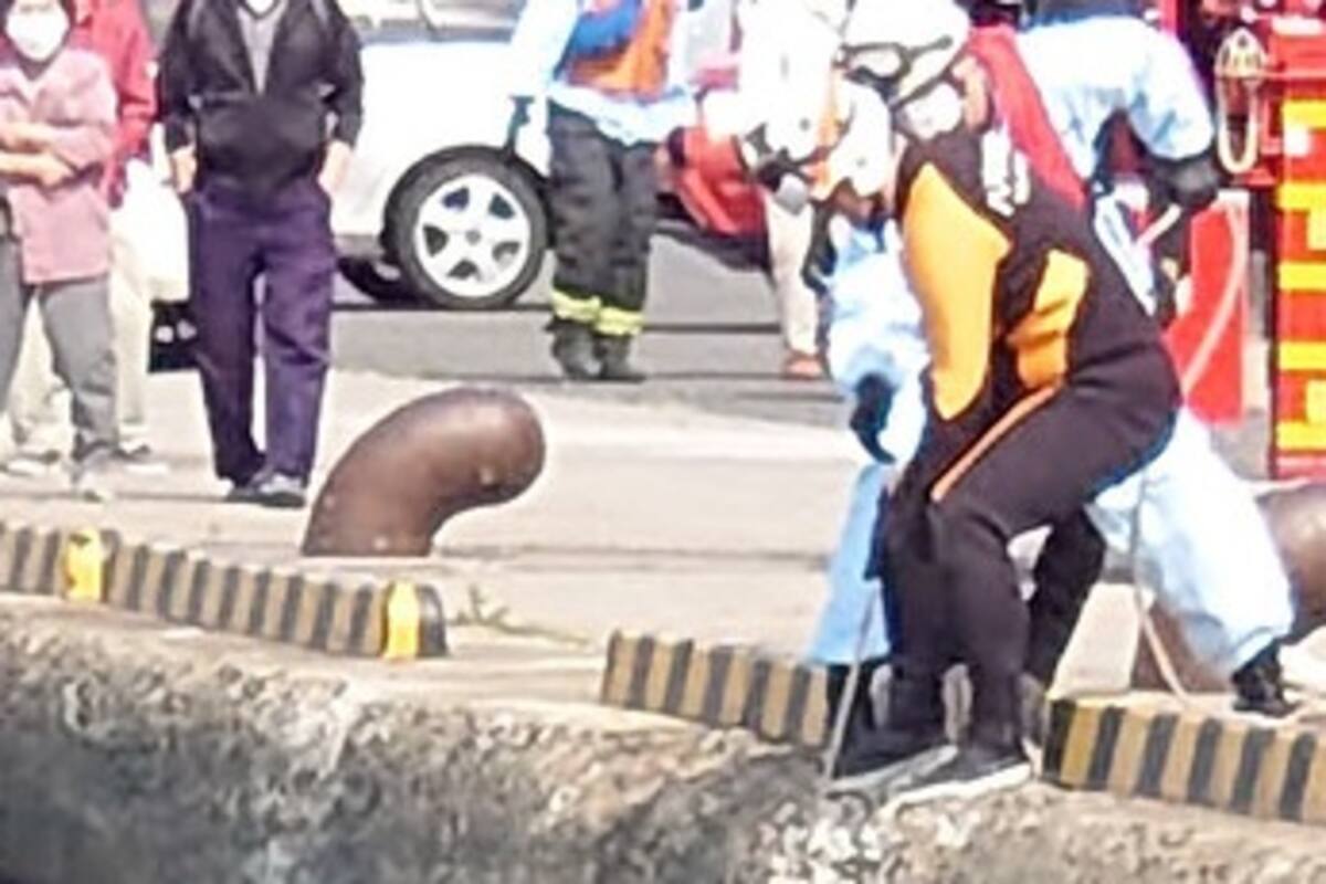 Rescatan del mar a una muñeca inflable pensando que era una mujer ahogada