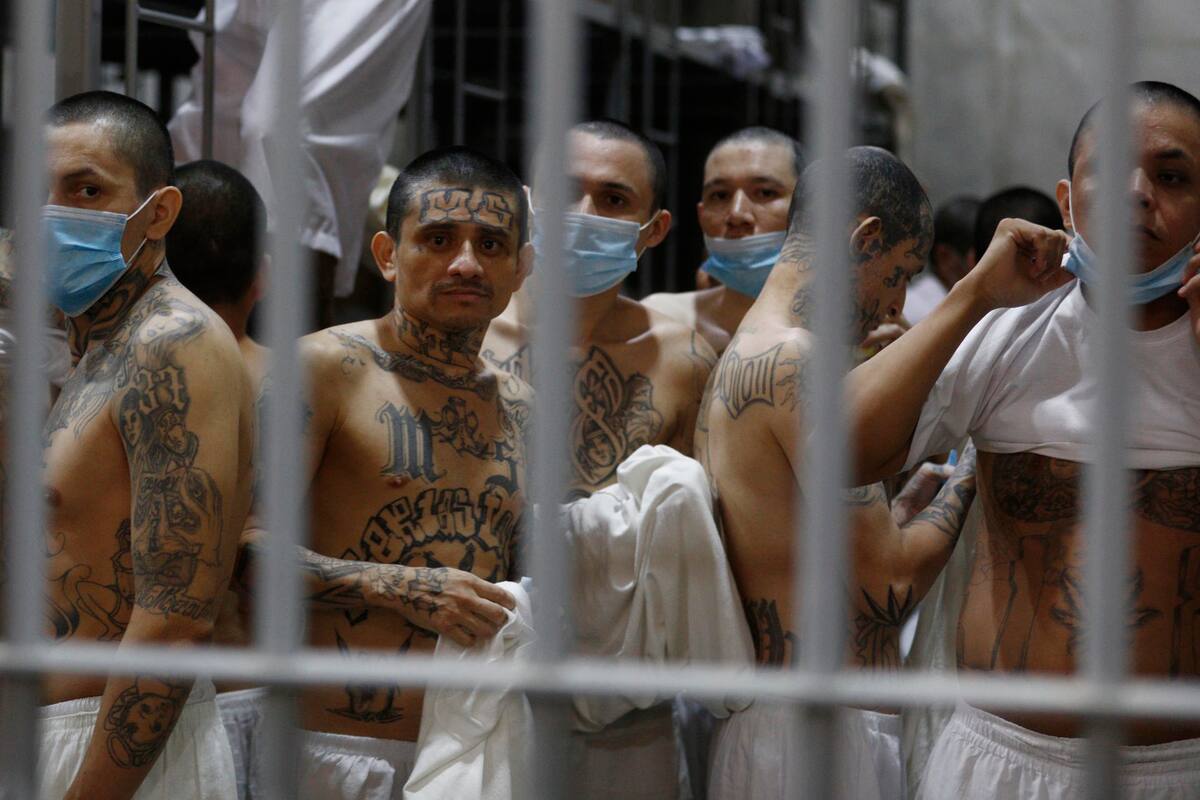 Fotografía de un grupo de reclusos en el Centro de Confinamiento del Terrorismo (Cecot) este viernes, en Tecoluca (El Salvador). El titular del Ministerio de Justicia y Paz de Costa Rica, Gerald Campos Valverde, recorrió el Cecot, cárcel de máxima seguridad de El Salvador símbolo de la guerra contra las pandillas del presidente Nayib Bukele. EFE/ Rodrigo Sura