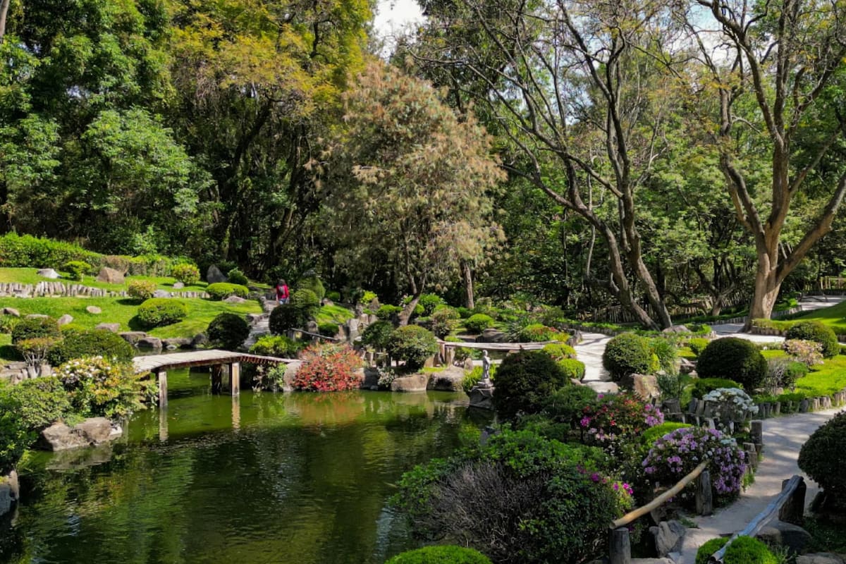 Fallo definitivo protegió ocho hectáreas del Bosque de Los Colomos y cerró la puerta a un desarrollo inmobiliario: Tribunal de Justicia Administrativa respaldó el decreto estatal de Área Natural Protegida y descartó que la constructora tuviera derechos adquiridos para edificar