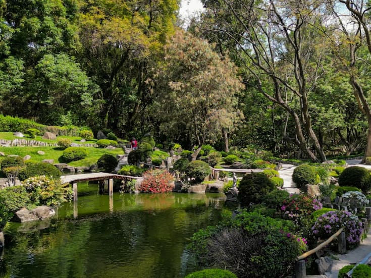 Fallo definitivo protegió ocho hectáreas del Bosque de Los Colomos y cerró la puerta a un desarrollo inmobiliario: Tribunal de Justicia Administrativa respaldó el decreto estatal de Área Natural Protegida y descartó que la constructora tuviera derechos adquiridos para edificar