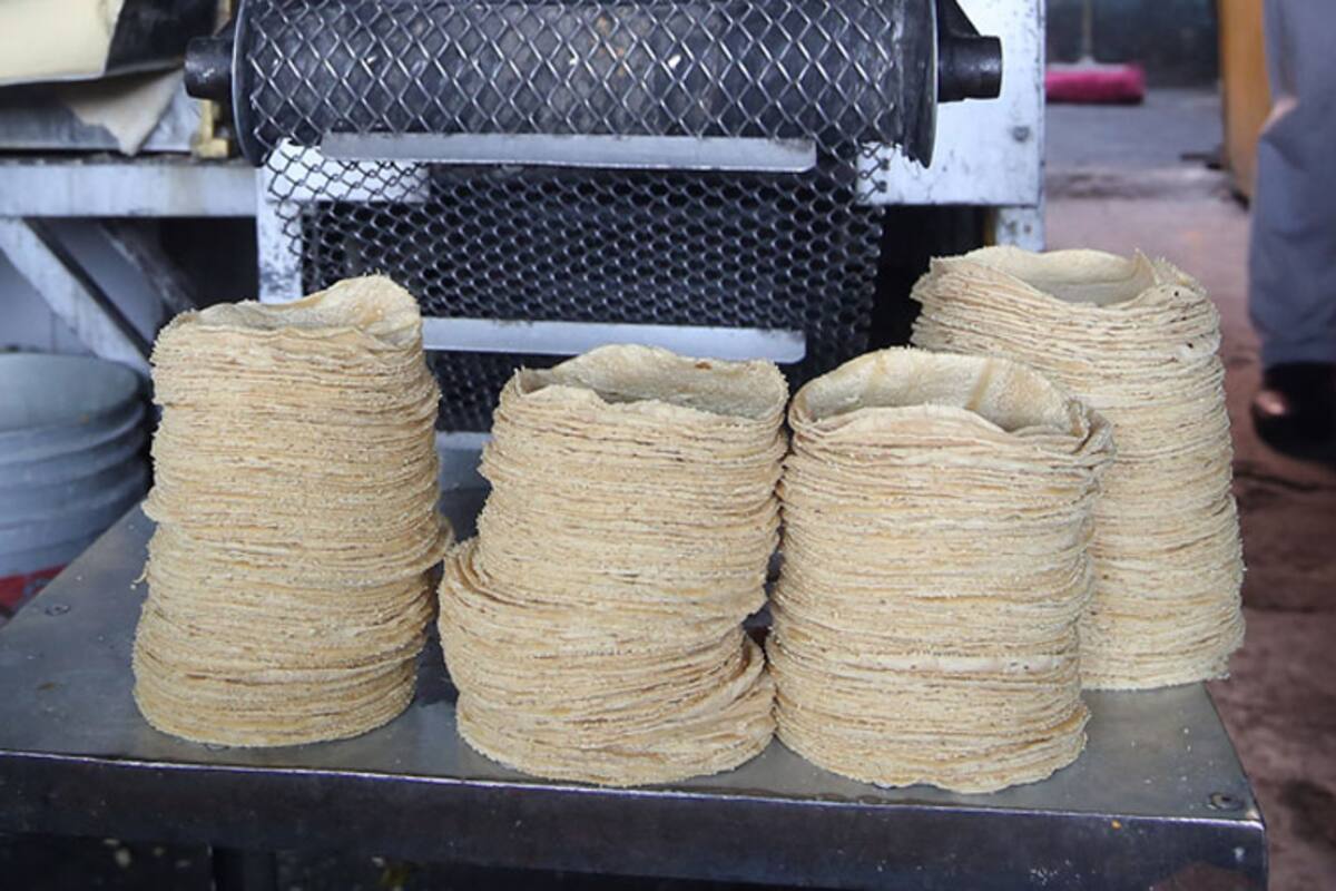 Aumento de tortilla se refleja en la mesa de las familias