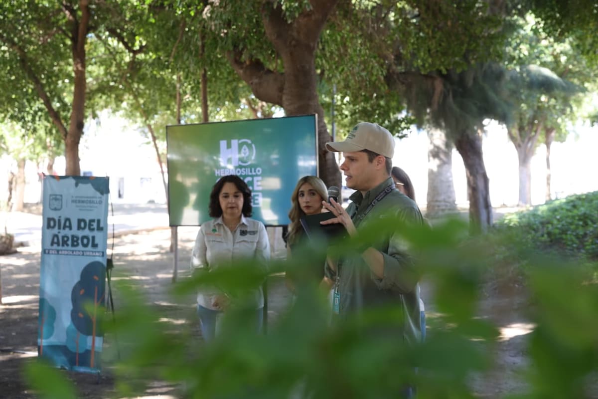 Ayuntamiento de Hermosillo sembrará y donará más de 2 mil 500 árboles nativos durante marzo por el Día del Árbol