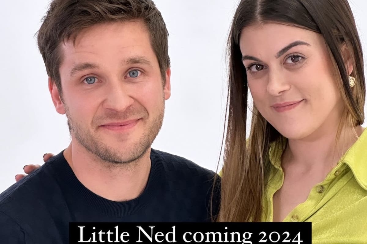 Actores del Manual de supervivencia escolar de Ned, ¿están esperando un hijo?