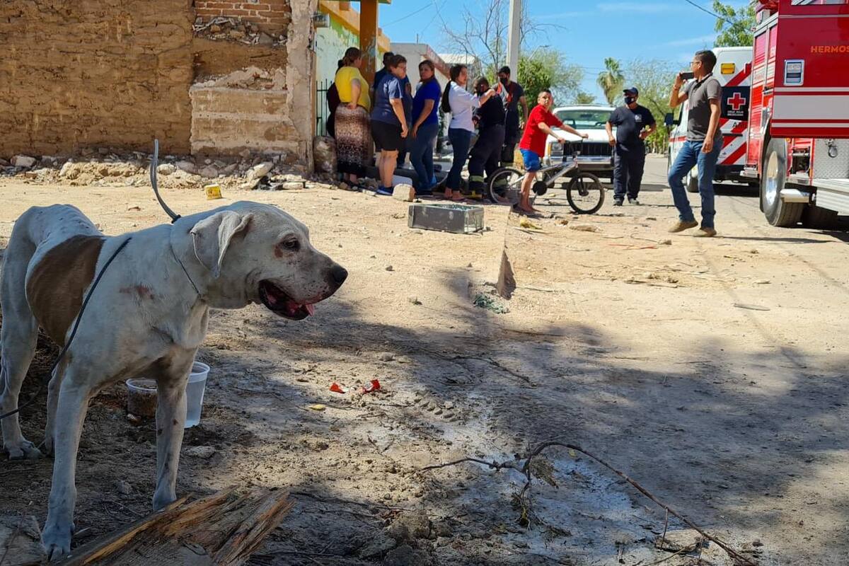Pitbull ataca a dueño que intentó detener agresión contra niños