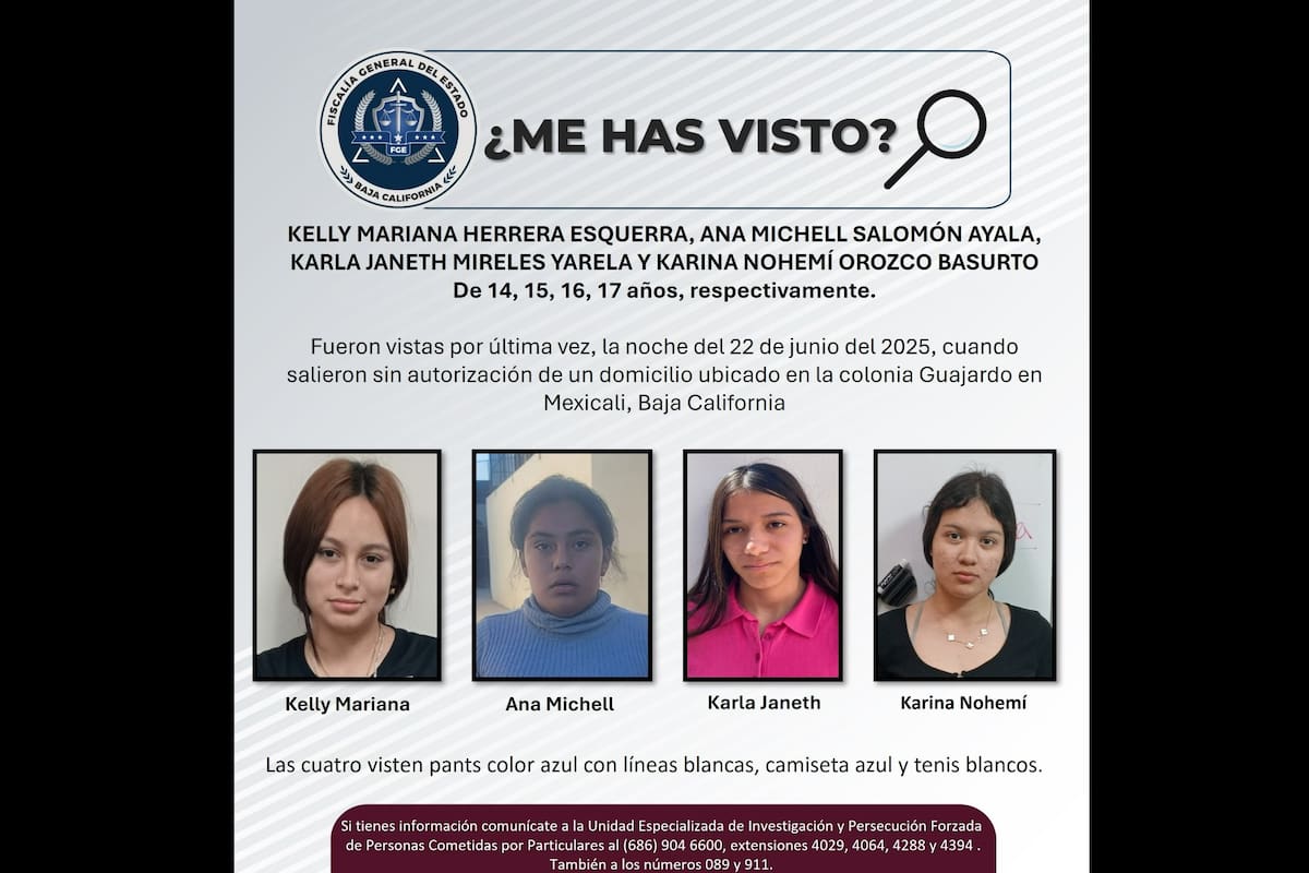 Pesquisa de Kelly Mariana Herrera Esquerra, Ana Michelle Salomón Ayala, Karla Janeth Mireles Ayala y Karina Nohemí Orozco Basurto