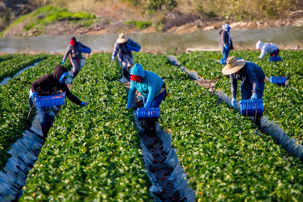 El pulso del empleo