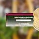 Precio de las tortillas en México: así varía por estado, según Profeco
