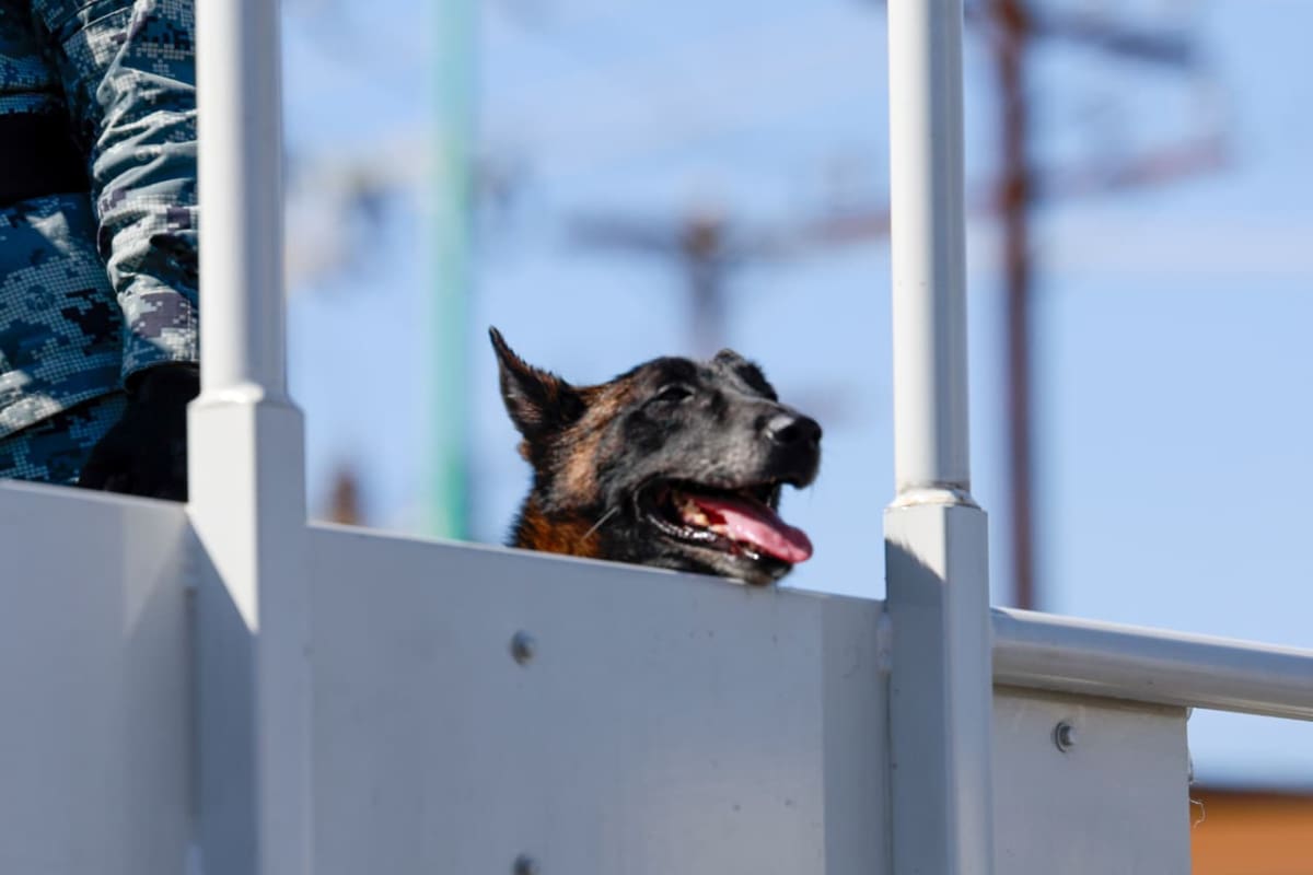 Mexicali tendrá martes soleado y con viento; temperatura llegará a 33 grados