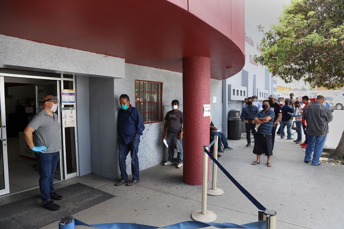 185 mil deberán renovar licencia permanente en BC