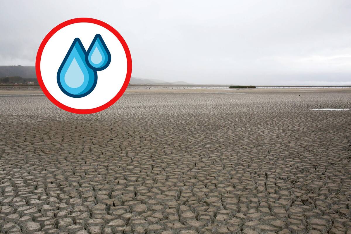 El aumento de la “sed” atmosférica ha intensificado las sequías un 40%