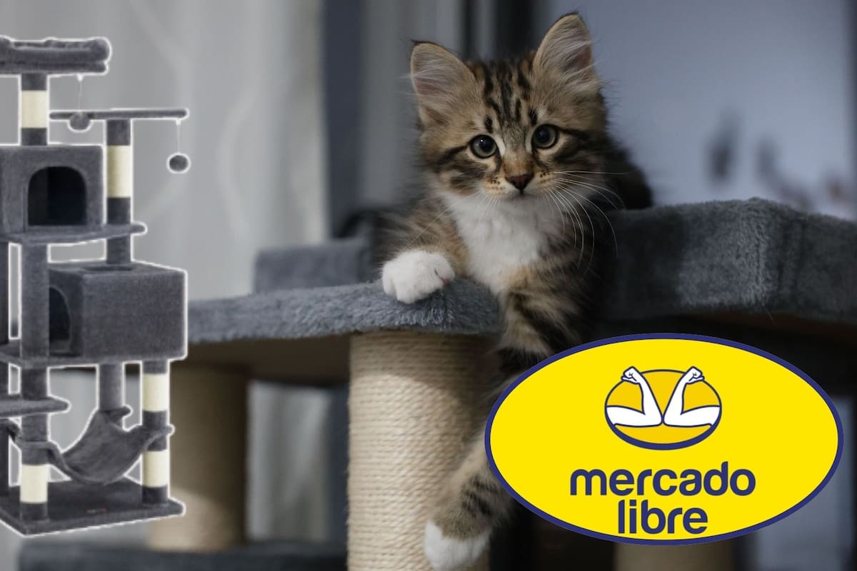 Mercado Libre rebaja el árbol para gatos Feandrea de 155 cm a casi mitad de precio con un descuento del 51%, una oferta con envío gratis que incluye rascadores de sisal y exige fijarse a la pared
