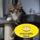 Mercado Libre rebaja el árbol para gatos Feandrea de 155 cm a casi mitad de precio con un descuento del 51%, una oferta con envío gratis que incluye rascadores de sisal y exige fijarse a la pared