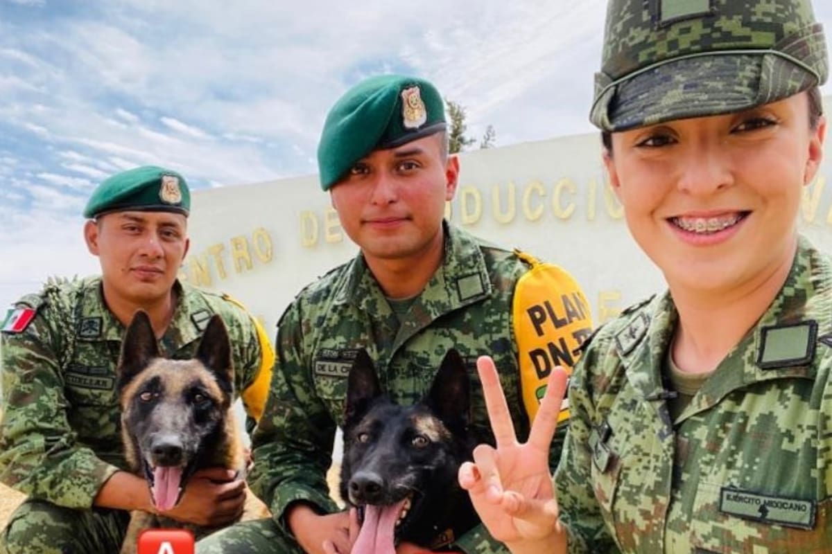Soldado se convierte en youtuber y muestra "el lado más 'cool' de los militares"