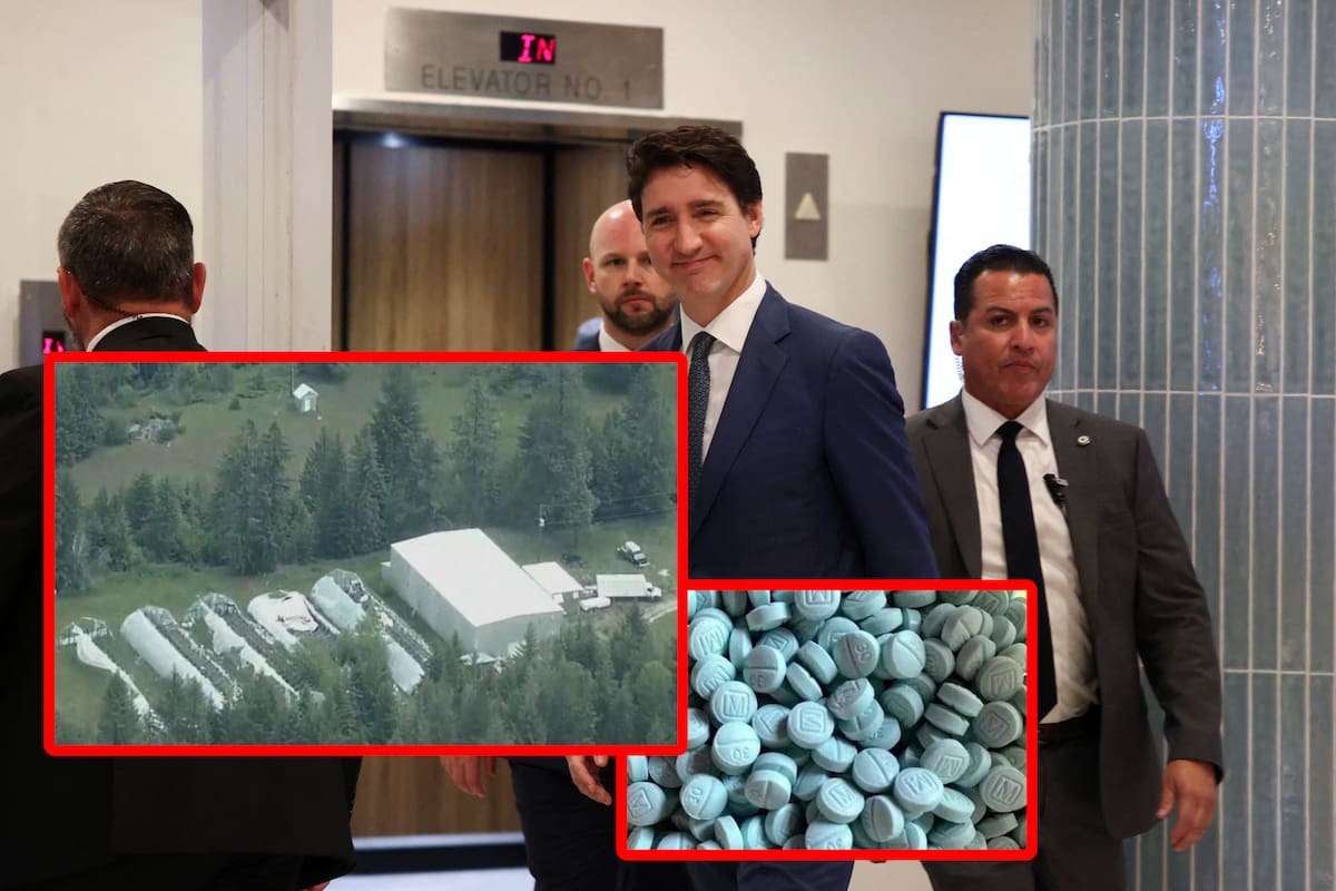 Canadá: De quién es la propiedad donde se halló el “súper laboratorio” de drogas más grande en la historia