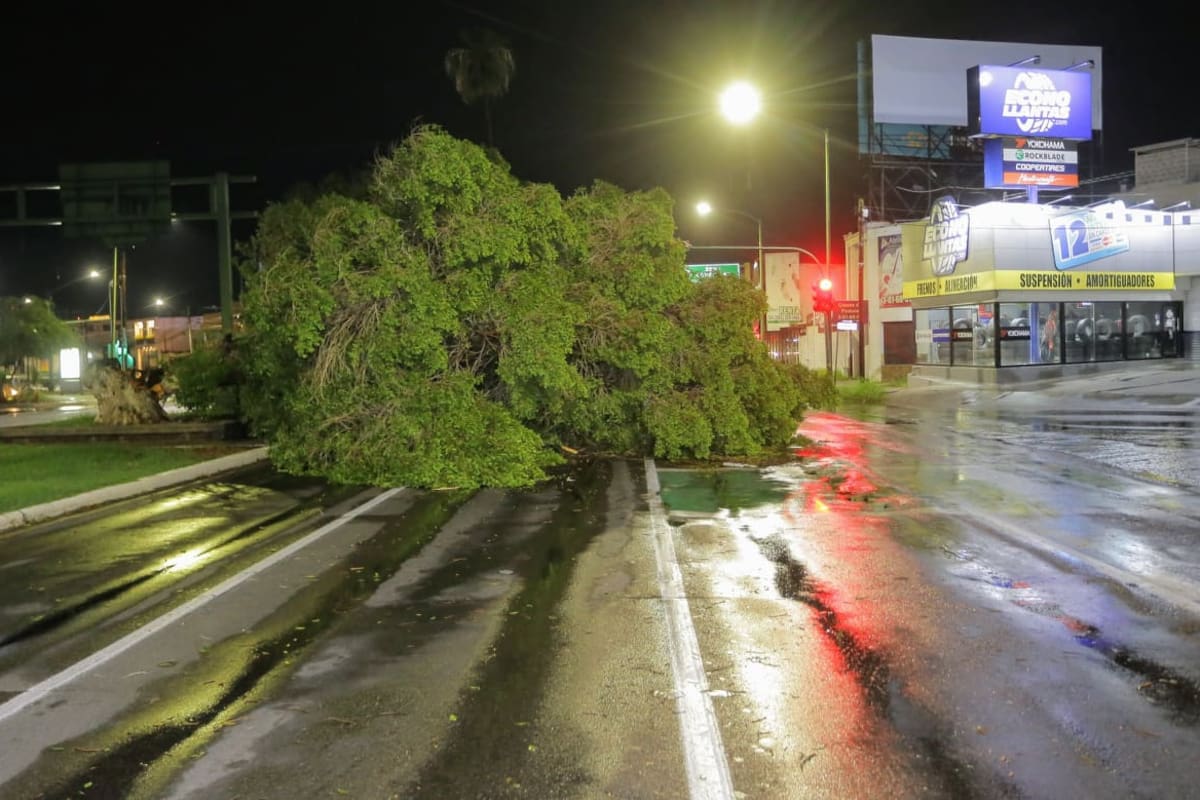 Vientos de hasta 75 km/h causan destrozos en algunas zonas de Hermosillo
