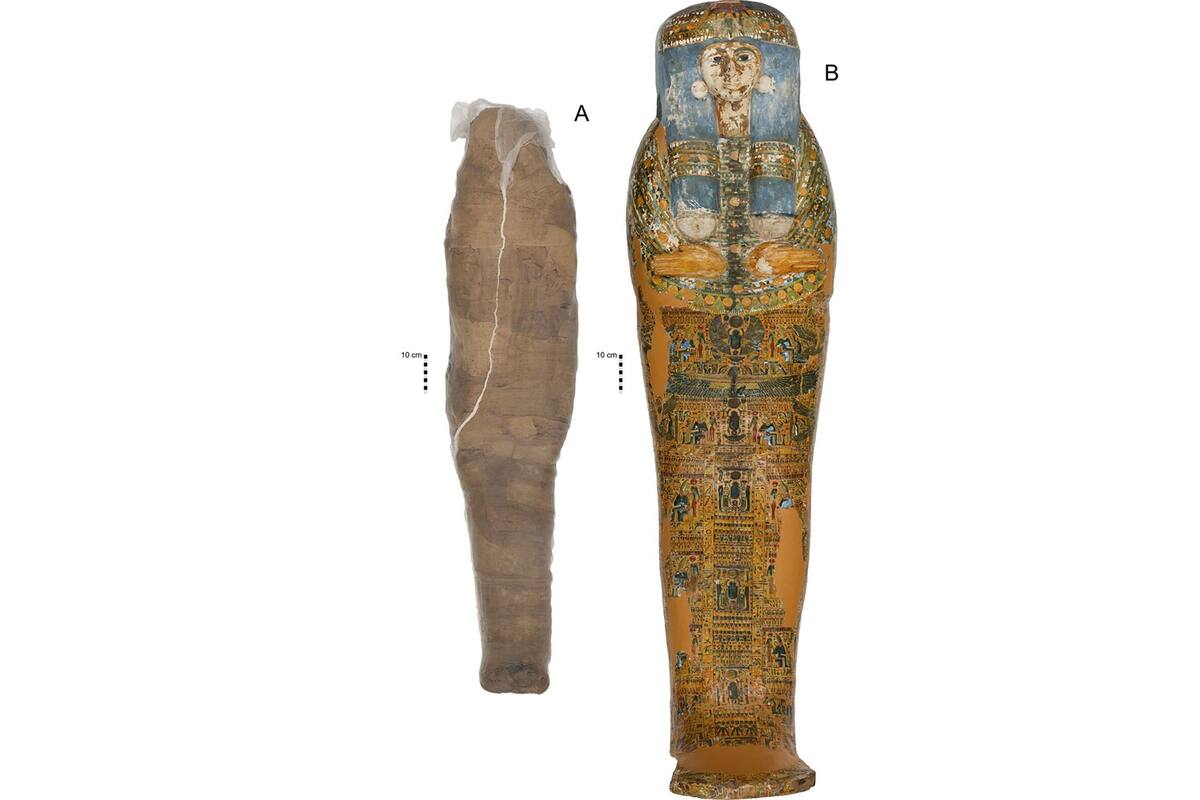 Descubren momia egipcia con raro tratamiento mortuorio, un caparazón de barro