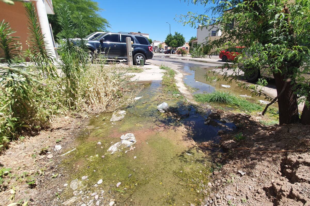 Reportan fuga de agua en colonia Quintas del Sol