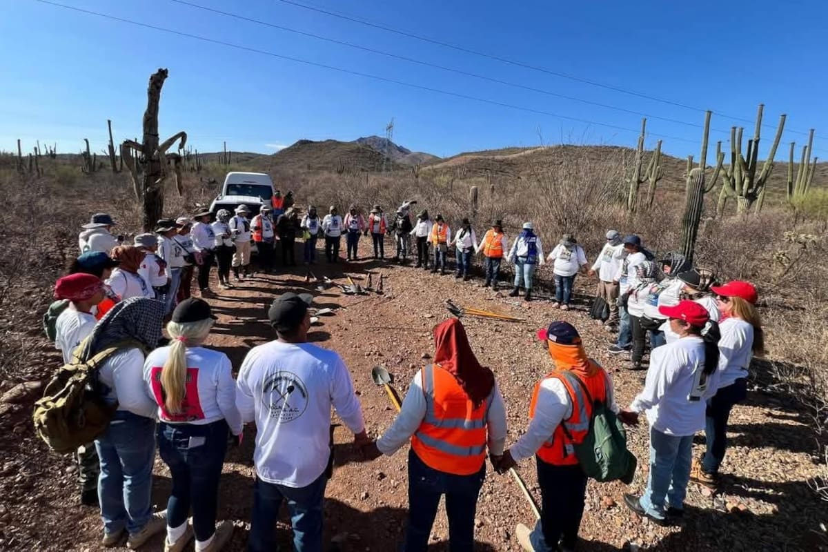 Colectivos encuentran 18 cuerpos en 5 días