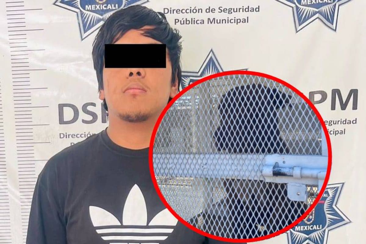 Detienen a dueño de pitbull que escapó de casa y mordió a una persona