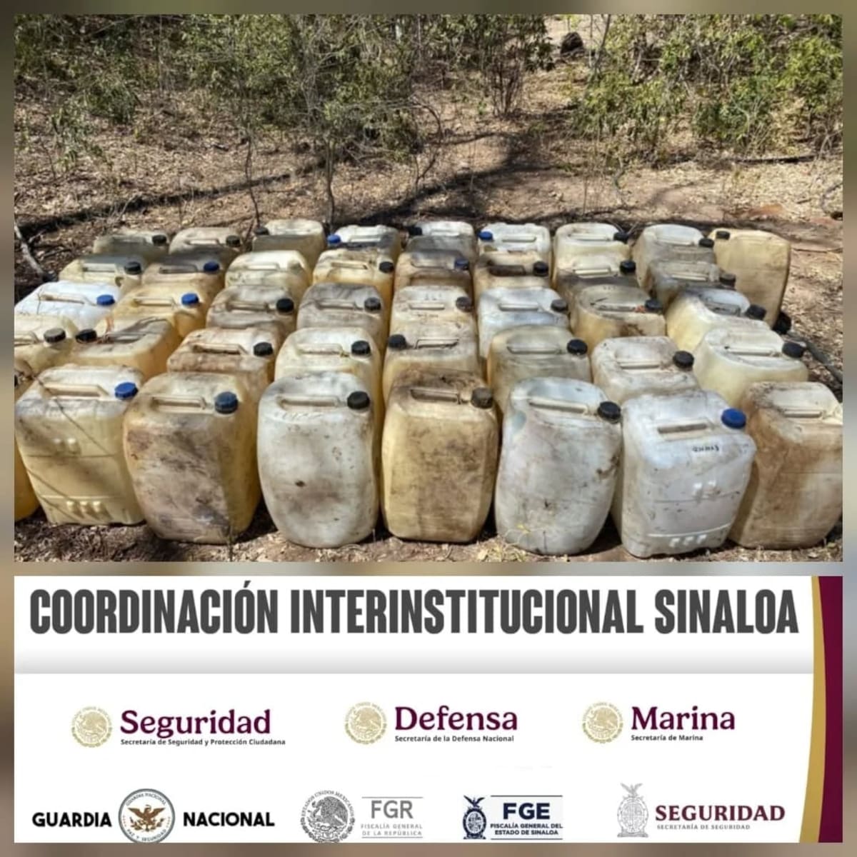 Seguridad Pública Sinaloa.