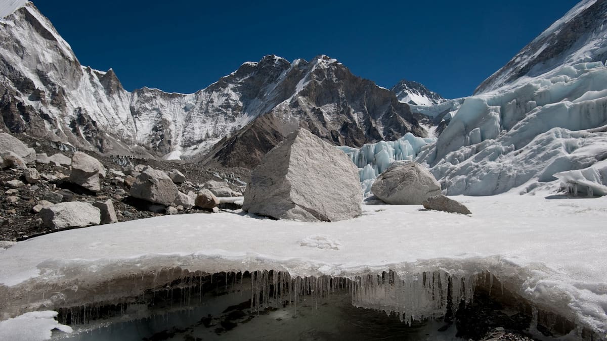 El desplazamiento de la vegetación en el Himalaya se suma al retroceso de los glaciares como una señal de transformación ambiental, un fenómeno que los científicos estudian por sus posibles efectos sobre los ecosistemas y el ciclo del agua en Asia. (REUTERS)