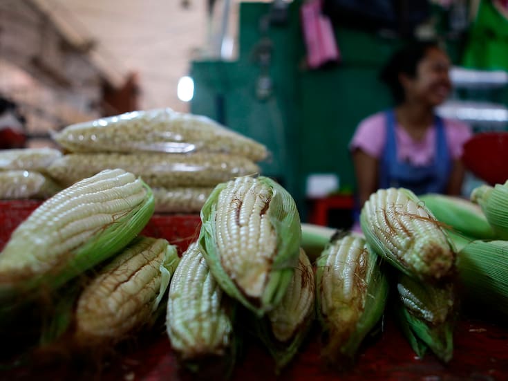 Gobierno y productores del Bajío acuerdan precio del maíz blanco tras protestas