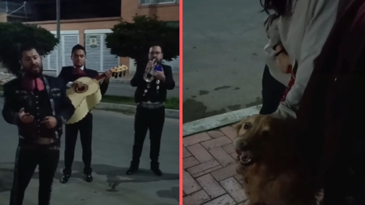 Perrita recibe serenata con mariachi antes de ser dormida por cáncer y su familia le dedica “Amor Eterno” (VIDEO)