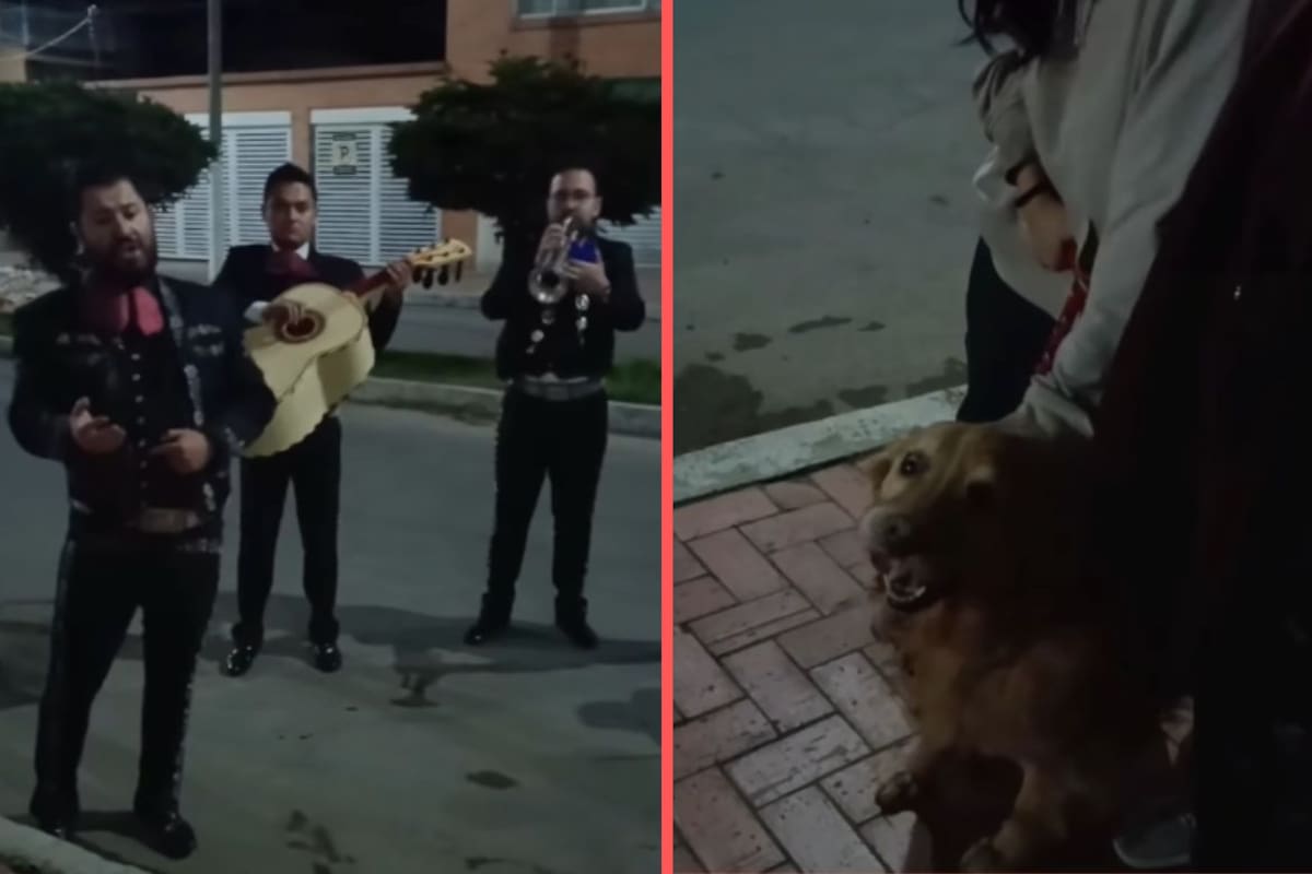 Perrita recibe serenata con mariachi antes de ser dormida por cáncer y su familia le dedica “Amor Eterno” (VIDEO)
