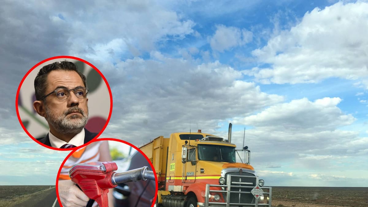 Profeco revela que 65% de gasolineras ya vende diésel debajo de $28.50, mientras Gobierno revisará con SAT por qué algunas estaciones mantienen precios altos