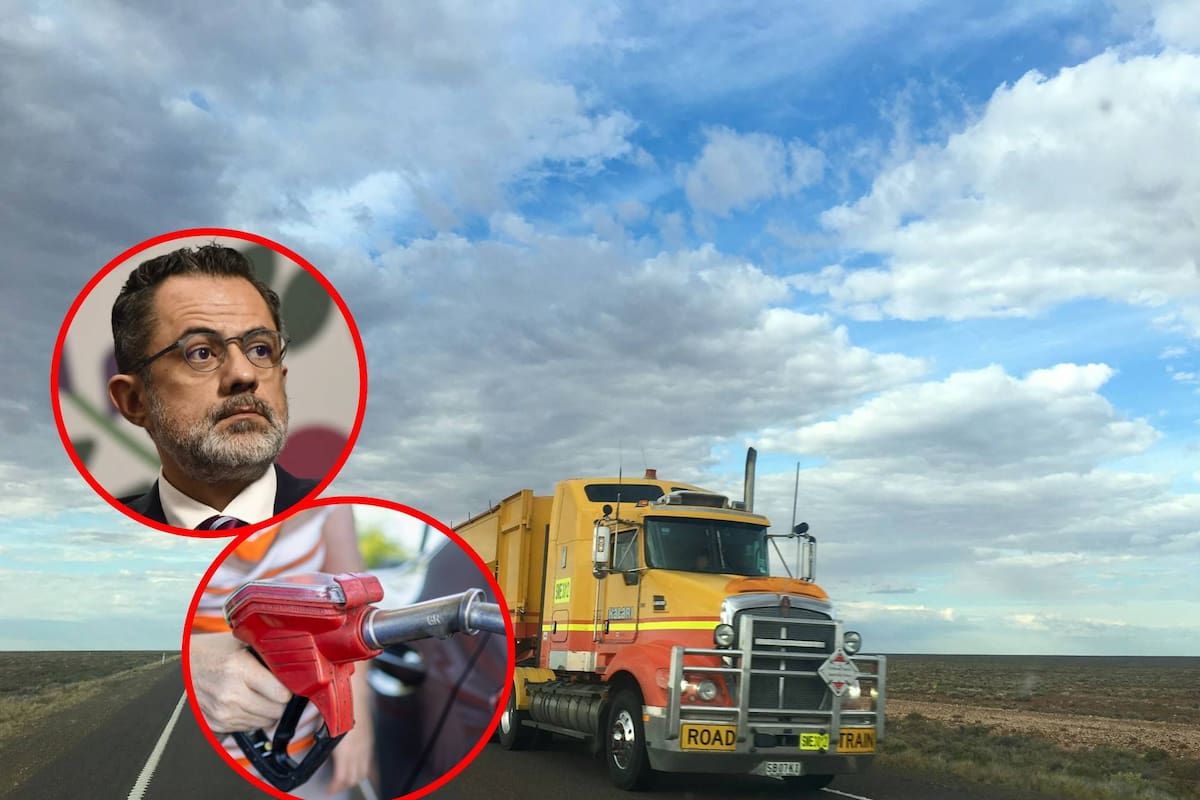 Profeco revela que 65% de gasolineras ya vende diésel debajo de $28.50, mientras Gobierno revisará con SAT por qué algunas estaciones mantienen precios altos