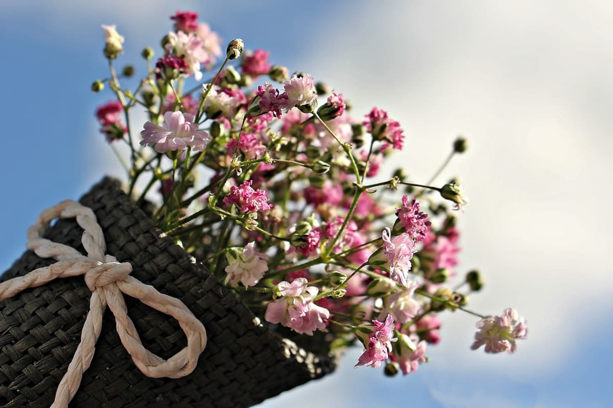 Tips para mantener tus ramos de flores en buen estado más tiempo